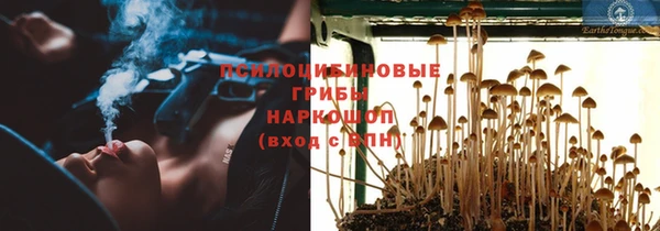 гашик Вяземский