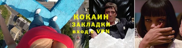 стаф Володарск