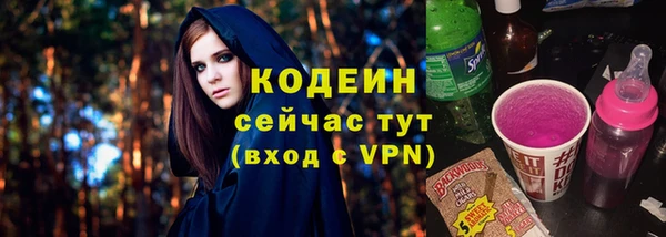 гашик Вяземский